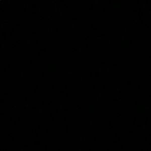 Meet your Posher, Sammy